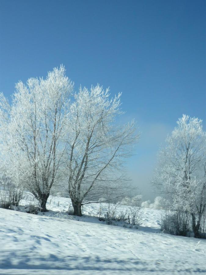 T3 Coquet Et Lumineux Aux Pieds Des Pistes Ancelle Exterior foto